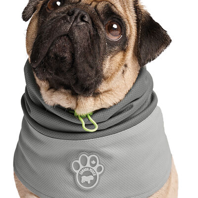 Canada Pooch, Max Chill Cooling Snood Grey